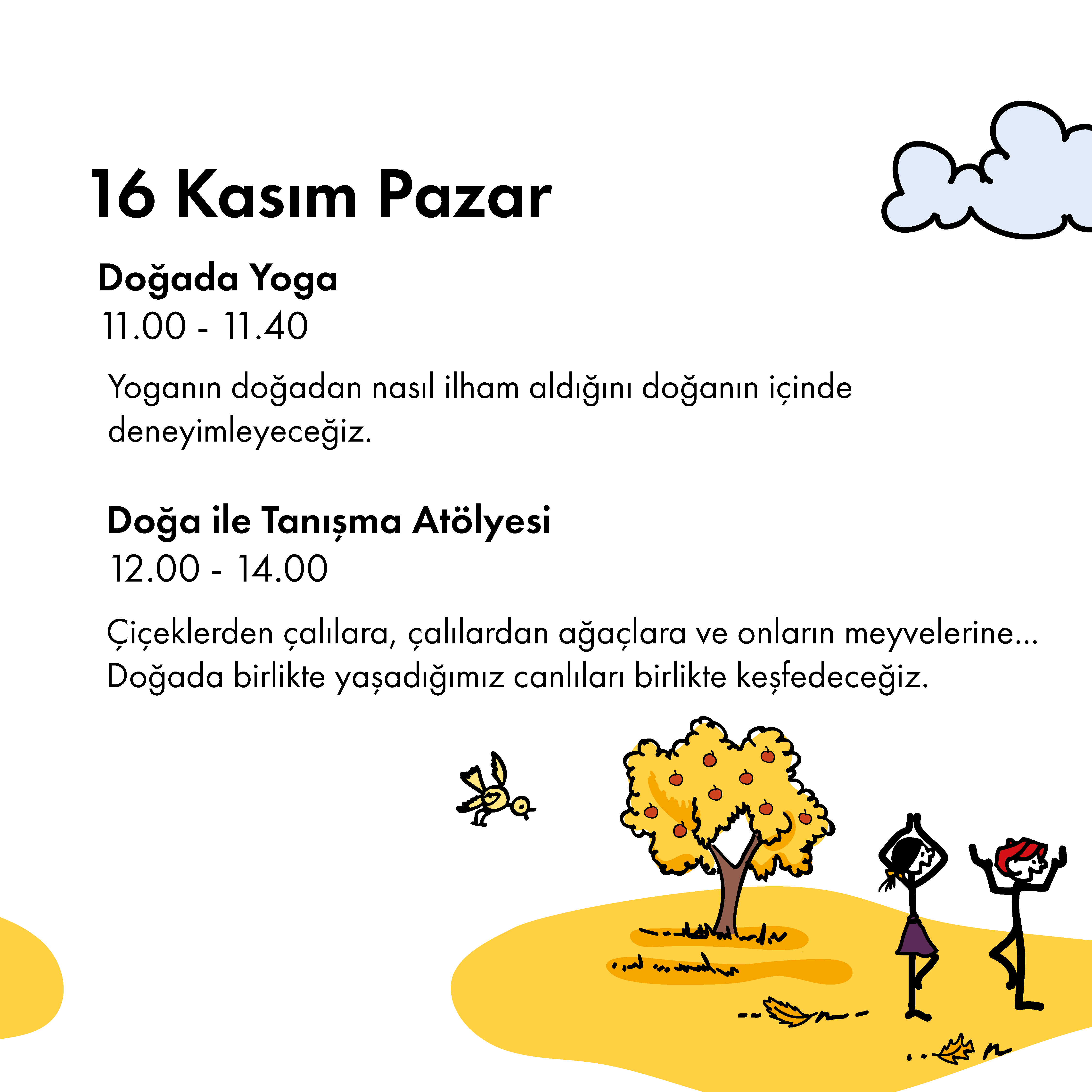 Cin Ali'de Kasım Okulu